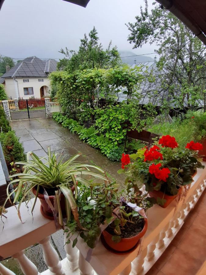 Pensiunea Covaciu Vadu Izei Exterior foto